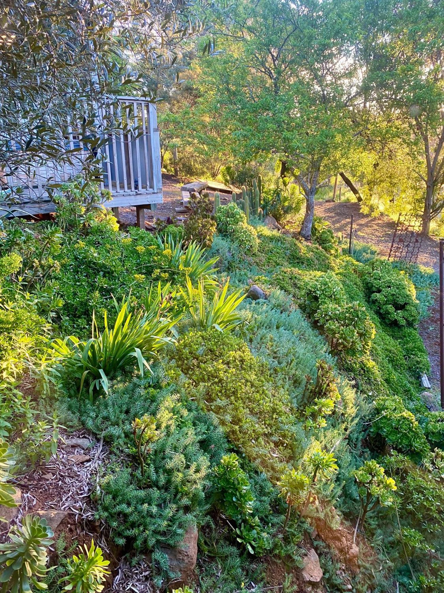 Sutton Spring Art Retreats Daylesford Quarto foto