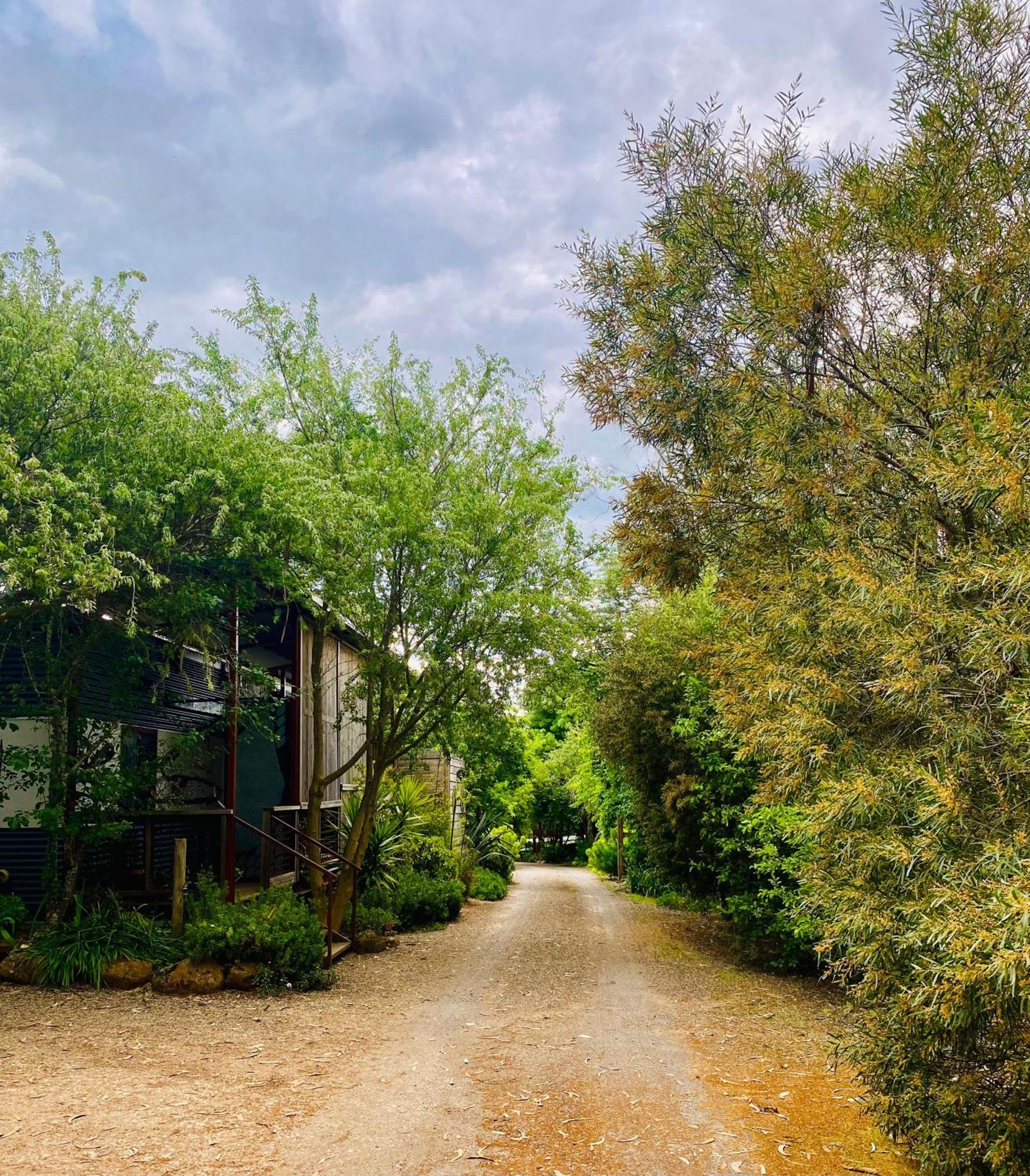 Sutton Spring Art Retreats Daylesford Quarto foto