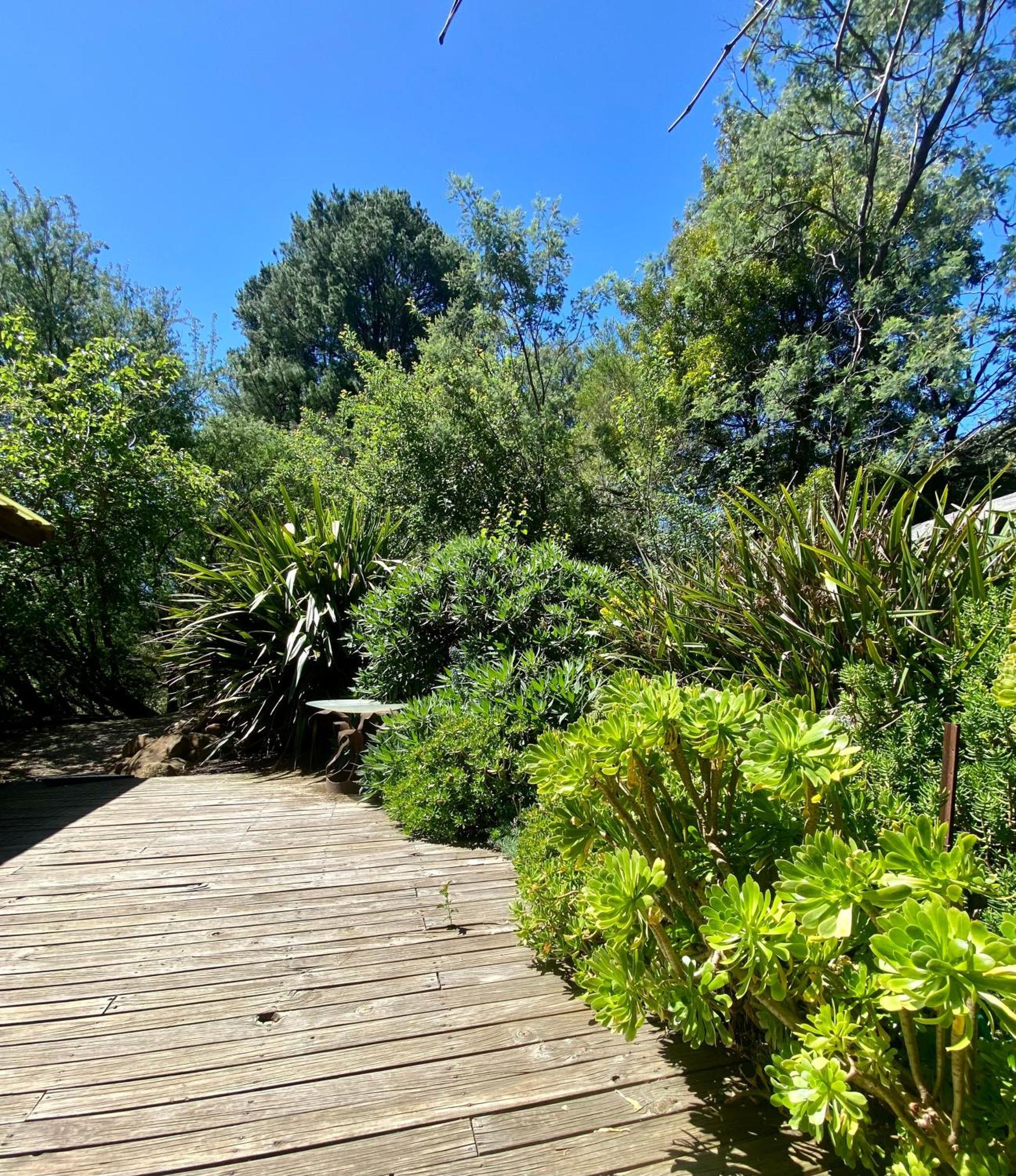 Sutton Spring Art Retreats Daylesford Quarto foto