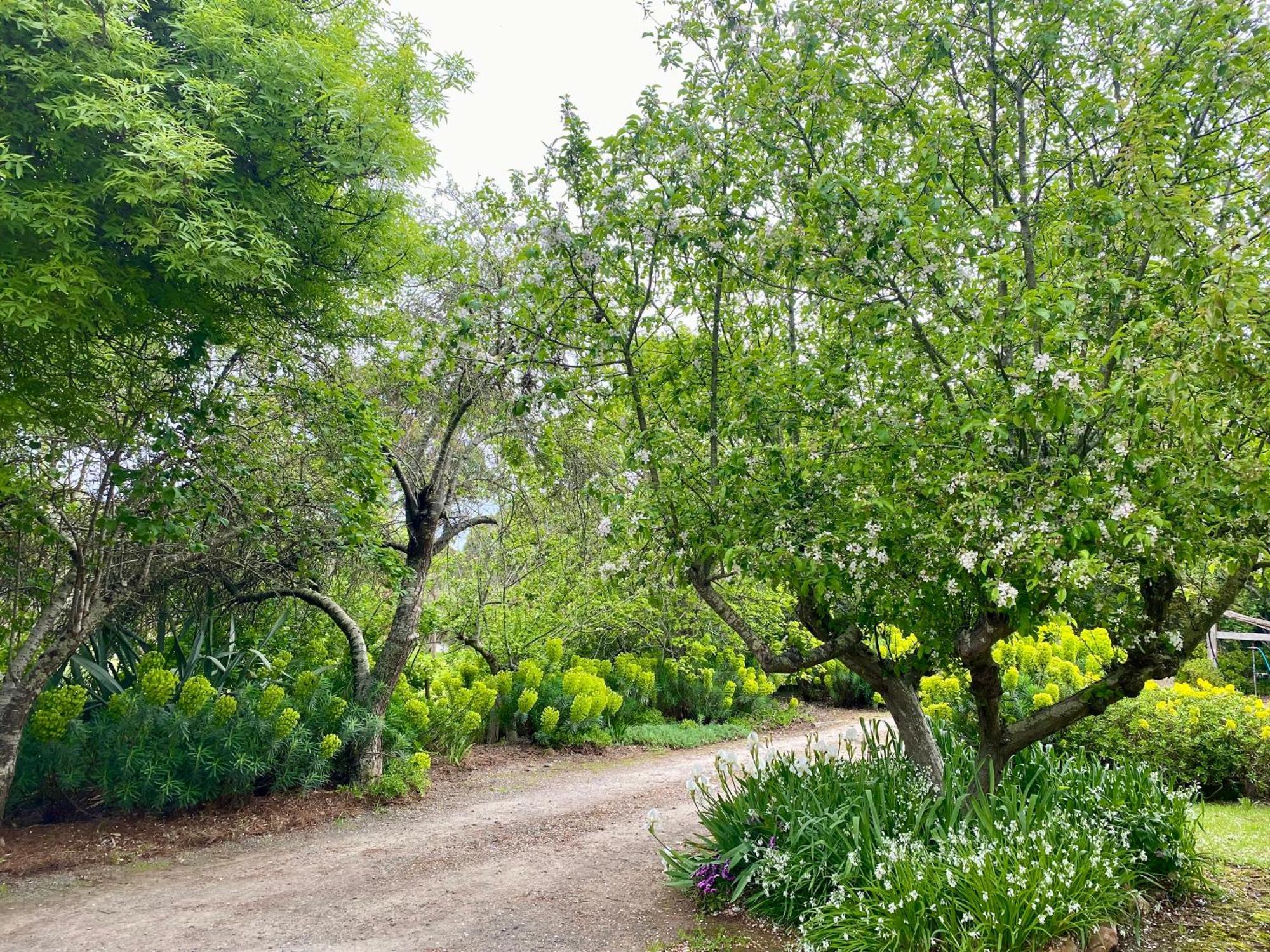 Sutton Spring Art Retreats Daylesford Quarto foto