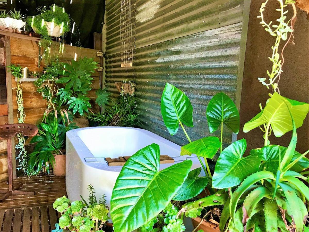 Sutton Spring Art Retreats Daylesford Exterior foto